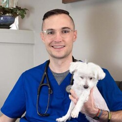 Dr. Greg Thompson and two of his dogs